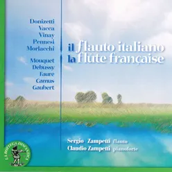 Gaetano Donizetti : Sonata. Largo, Allegro