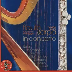 Andrea Padovano : Berceuse per flauto e arpa
