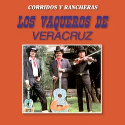 15 Corridos y Rancheras