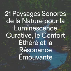 21 Paysages Sonores de la Nature pour la Luminescence Curative, le Confort Éthéré et la Résonance Émouvante