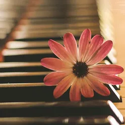沙尔文卡 为青少年而作的钢琴曲 世界古典名曲