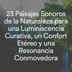 23 Paisajes Sonoros De La Naturaleza Para Una Luminiscencia Curativa, Un Confort Etéreo Y Una Resonancia Conmovedora