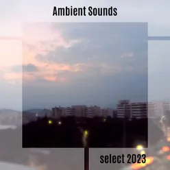 Ambient Sounds Select 2023