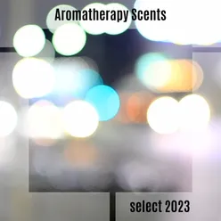 Aromatherapy Scents Select 2023