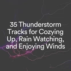 35 Thunderstorm Tracks for Cozying up, Rain Watching, and Enjoying Winds