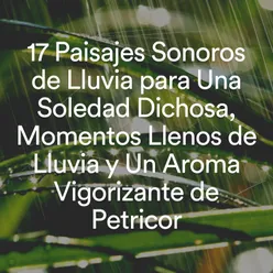 17 Paisajes Sonoros de Lluvia para una Soledad Dichosa, Momentos Llenos de Lluvia y un Aroma Vigorizante de Petricor