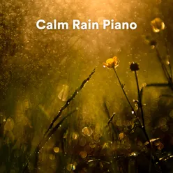 Piano Rain for Relaxation