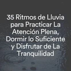 35 Ritmos de Lluvia para Practicar La Atención Plena, Dormir lo Suficiente y Disfrutar de La Tranquilidad