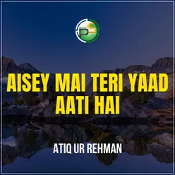 Aisey Mai Teri Yaad Aati Hai