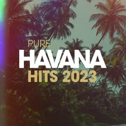 Pure Havana Hits 2023