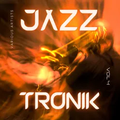 Jazztronik, Vol. 4