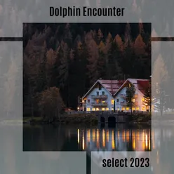 Dolphin Encounter Select 2023