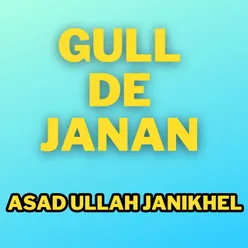 Gull De Janan