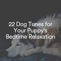 Ultimate Calm Meditative Music for your Dog, Pt. 4