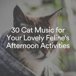 30 Cat Music for Your Lovely Feline's Afternoon Activities