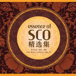Essence of SCO