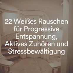 22 Weißes Rauschen für Progressive Entspannung, Aktives Zuhören und Stressbewältigung