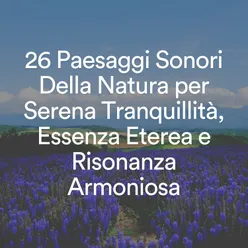 26 Paesaggi Sonori Della Natura per Serena Tranquillità, Essenza Eterea e Risonanza Armoniosa