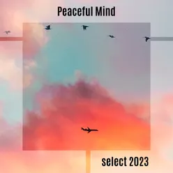 Peaceful Mind Select 2023