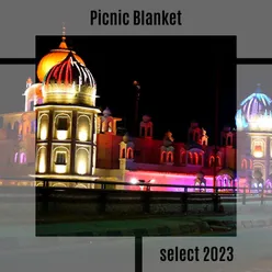 Picnic Blanket Select 2023