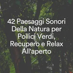 Suoni melodici della pioggia per la pace e la calma, pt. 12