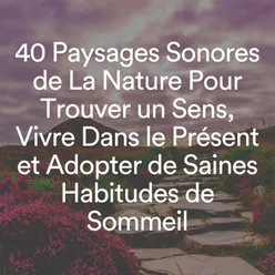 40 Paysages Sonores de La Nature Pour Trouver un Sens, Vivre Dans le Présent et Adopter de Saines Habitudes de Sommeil