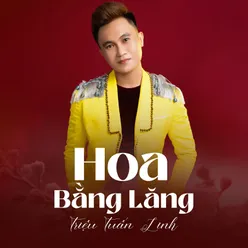 Hoa Bằng Lăng