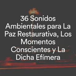 36 Sonidos Ambientales para La Paz Restaurativa, Los Momentos Conscientes y La Dicha Efímera