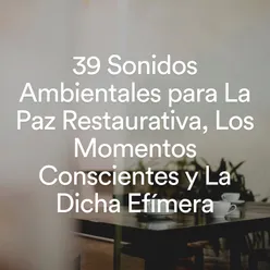 39 Sonidos Ambientales para La Paz Restaurativa, Los Momentos Conscientes y La Dicha Efímera