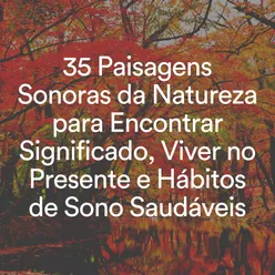 35 Paisagens Sonoras da Natureza para Encontrar Significado, Viver no Presente e Hábitos de Sono Saudáveis