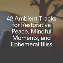 42 Ambient Tracks for Restorative Peace, Mindful Moments, and hemeral Bliss - EP