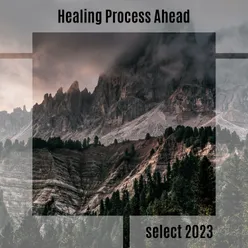 Healing Process Ahead Select 2023