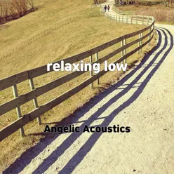 relaxing low