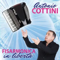 Fisarmonica in libertà