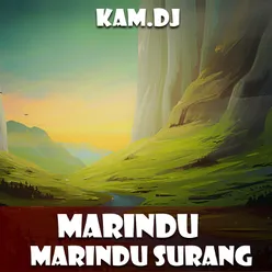 MARINDU RINDU SURANG