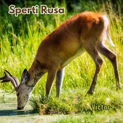 Sperti Rusa