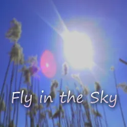 Fly in the Sky