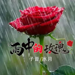 雨中的玫瑰