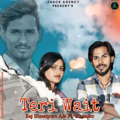 Teri Wait