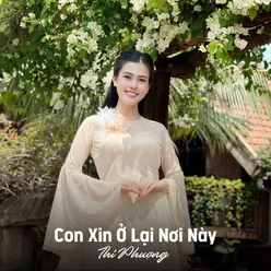 Con Xin Ở Lại Nơi Này