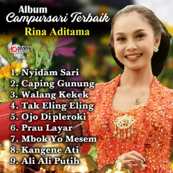 Album Campursari Terbaik