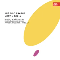 Piano Trio No. 1 in B-Flat Major, Op. 21, B. 51: I. Allegro molto
