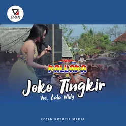 Joko Tingkir