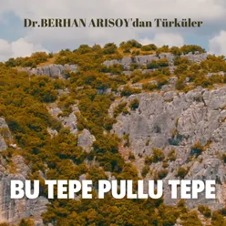 Bu Tepe Pullu Tepe