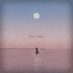 Fly sky