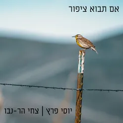 אם תבוא ציפור