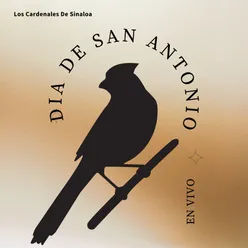 Dia de San Antonio