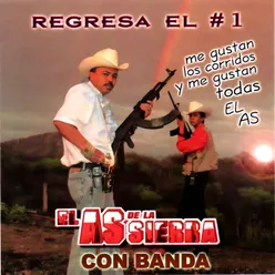 Regresa El #1