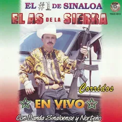 Corridos En Vivo Con Banda Sinaloense y Norteño