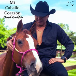 Mi Caballo Corazón